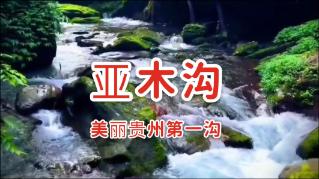 蝎子逃生之地